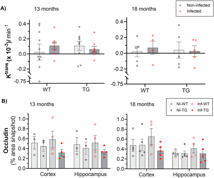 MRI detects blood-brain barrier alterations in a rat model of Alzheimer's disease and lung infection.