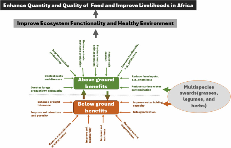 Make African grasslands climate-change resilient.