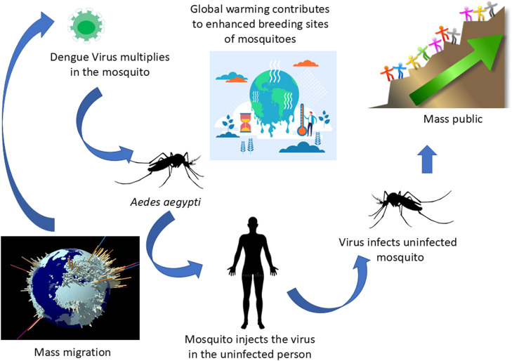 The increasing importance of Dengue virus infection in Saudi Arabia: A review