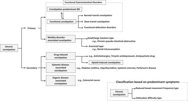 Evidence-Based Clinical Guidelines for Chronic Constipation 2023.