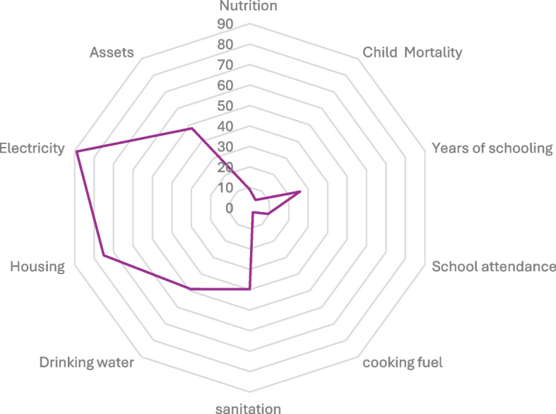 The impact of multidimensional poverty on antenatal care service utilisation in Malawi.