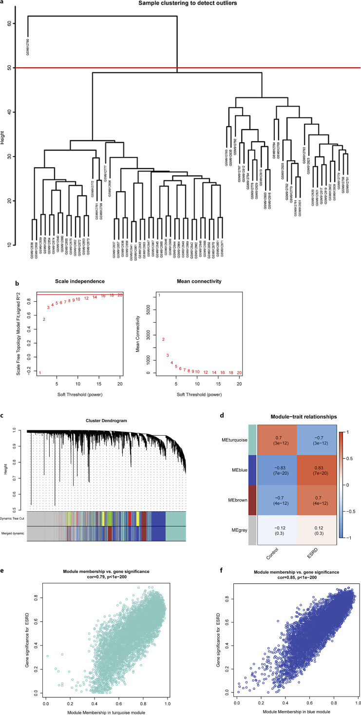 Uncovering Candidate Genes Associated with Cardiovascular Disease in Patients with Arteriovenous Fistula and End-Stage Renal Disease.