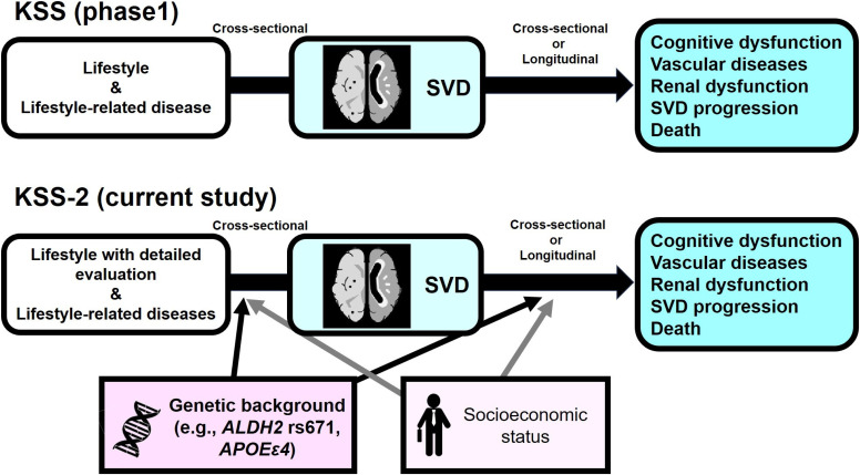 The Kashima Scan Study 2: a protocol for a prospective observational cohort study of cerebral small vessel disease in neurologically healthy adults.