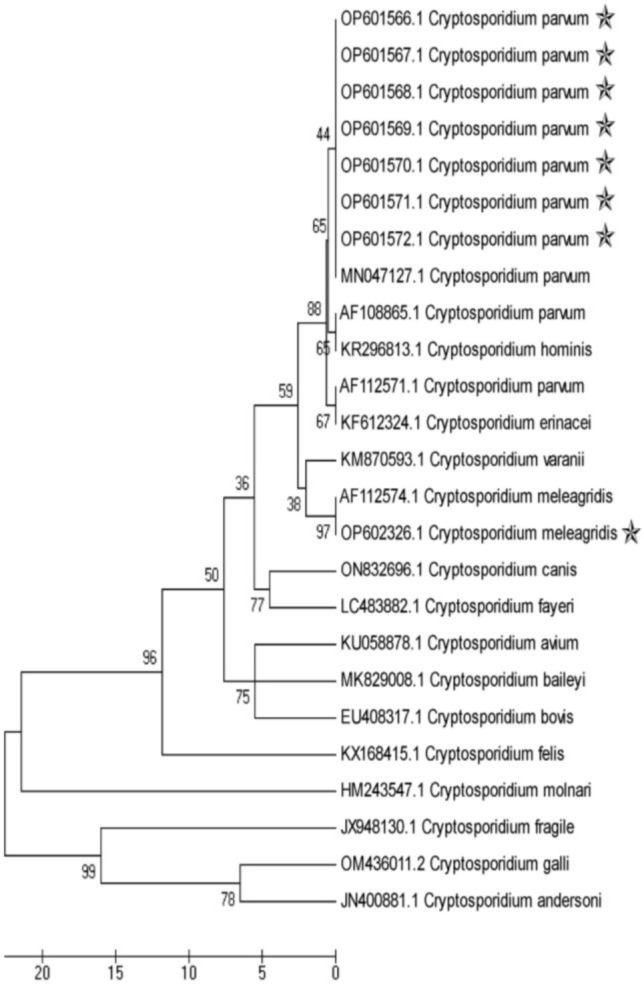 Respiratory and intestinal zoonotic cryptosporidiosis in symptomatic domestic pigeons (<i>Columba livia domestica</i>) in Tabriz, Iran.