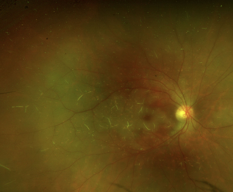 Abstract Image