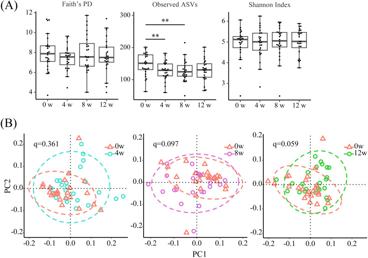 Continuous intake of galacto-oligosaccharides containing syrup contributes to maintaining the health of household cats by modulating their gut microbiota.
