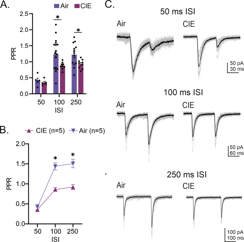 Elevated GABAergic neurotransmission prevents chronic intermittent ethanol induced hyperexcitability of intrinsic and extrinsic inputs to the ventral subiculum of female rats