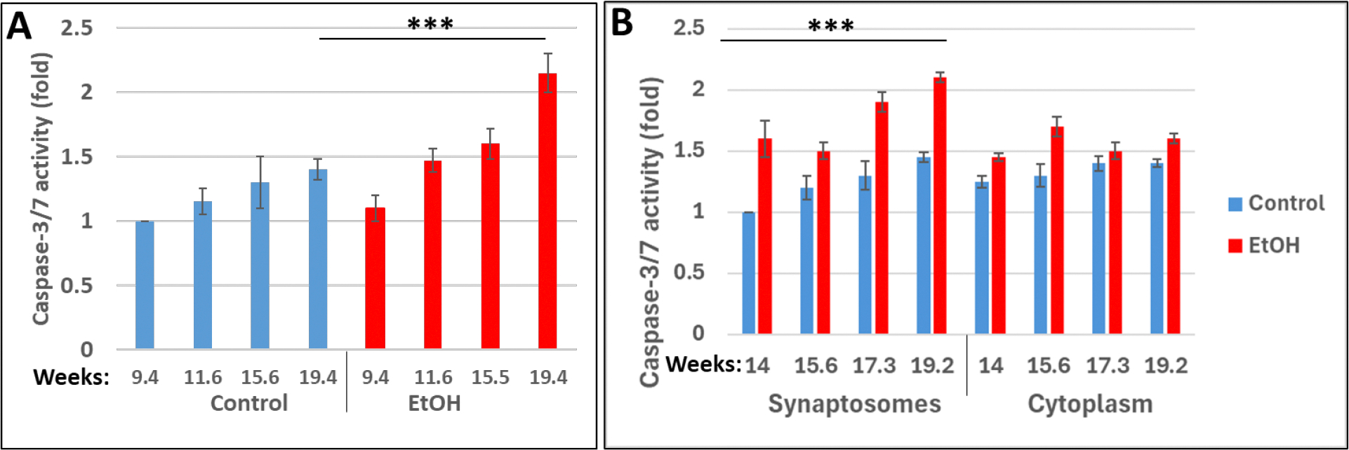 Prenatal Alcohol Exposure Inhibits Transient Expression of Autophagy and Synaptic Proteins in Developing Brain.