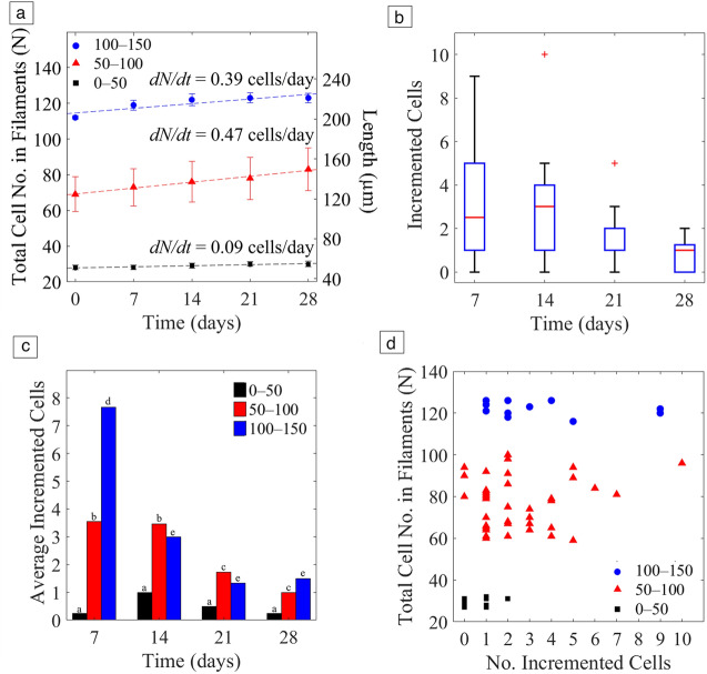 Filamentous cyanobacteria growth assessment using fluorinated ethylene propylene microcapillaries.