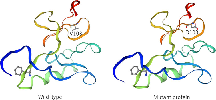 Identification of a novel missense variant in the <i>AVP</i> gene in a Japanese pedigree with familial neurohypophyseal diabetes insipidus.