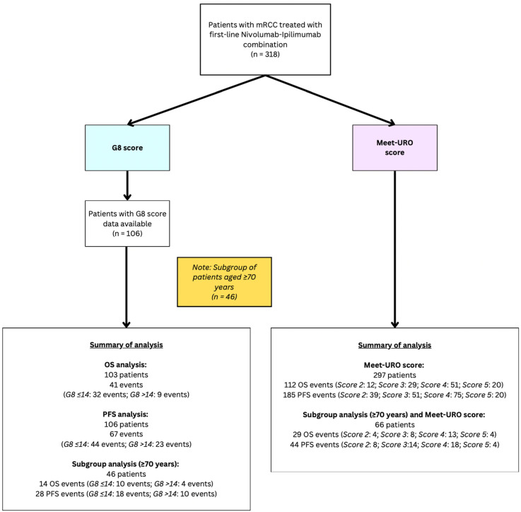Prognostic Value of G8 Geriatric Screening and Meet-URO Scores in Metastatic Renal Cell Carcinoma Patients Receiving First-Line Ipilimumab-Nivolumab Combination Immunotherapy.