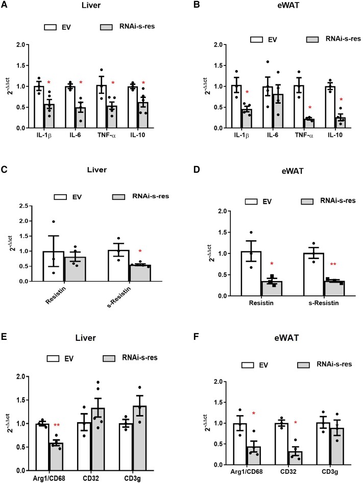 Central Downregulation of S-Resistin Alleviates Inflammation in EWAT and Liver and Prevents Adipocyte Hypertrophy.