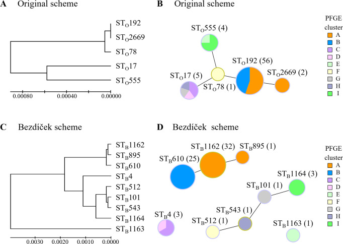 New multilocus sequence typing scheme for <i>Enterococcus faecium</i> reveals sequential outbreaks of vancomycin-resistant <i>E. faecium</i> ST1162 and ST610 in a Japanese tertiary medical center.