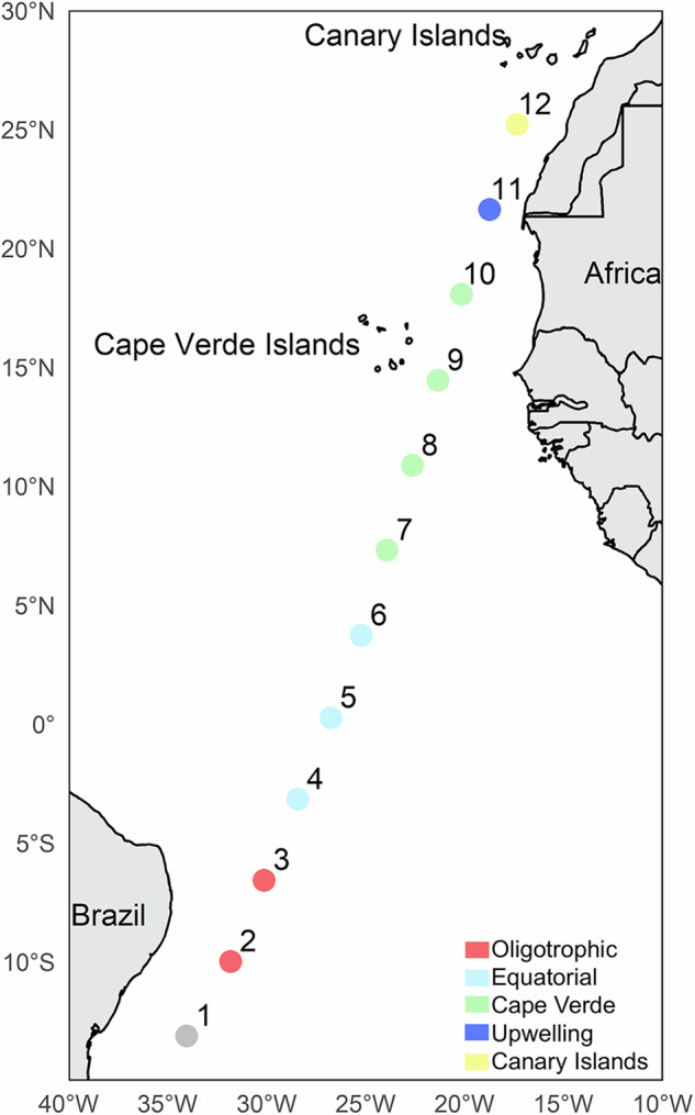 Modelling the alpha and beta diversity of copepods across tropical and subtropical Atlantic ecoregions.
