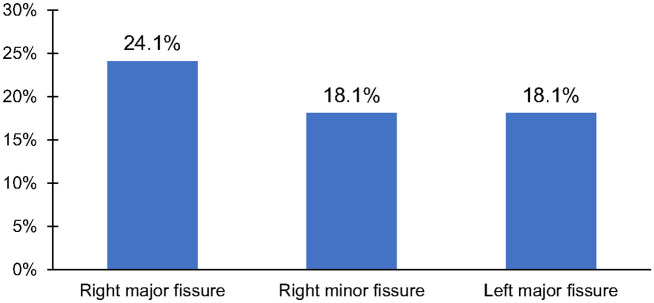 The impact of quantitative platform on candidacy for bronchoscopic lung volume reduction: a multi-center retrospective cohort study.
