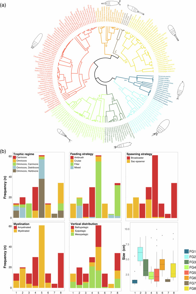 Modelling the alpha and beta diversity of copepods across tropical and subtropical Atlantic ecoregions.