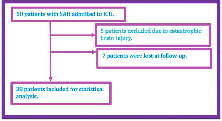One-year outcome and quality of life of patients with subarachnoid hemorrhage admitted to intensive care unit: a single-center retrospective pilot study.