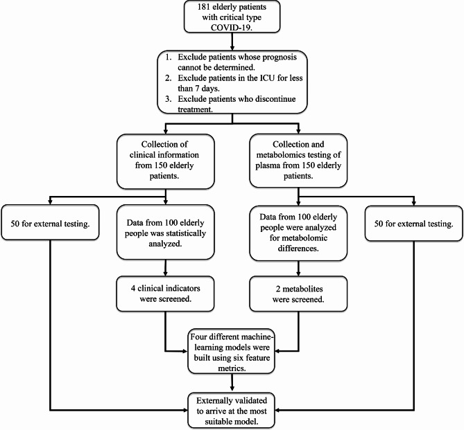 Integration of metabolomics methodologies for the development of predictive models for mortality risk in elderly patients with severe COVID-19.