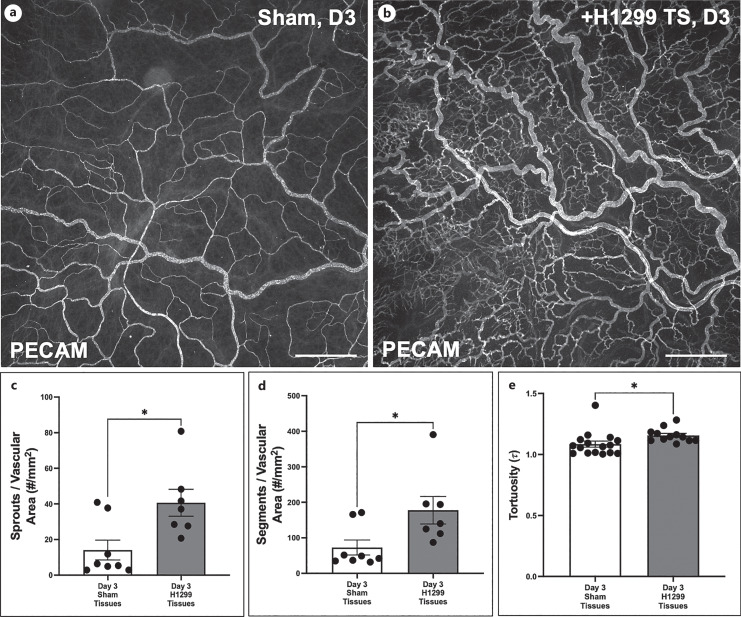 A Novel in vivo Rat Mesentery Model for Studying Tumor Spheroid-Induced Microvascular Remodeling.
