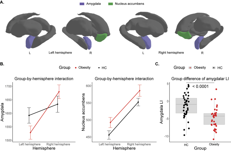Altered asymmetry of amygdala volume mediates food addiction and weight gain.