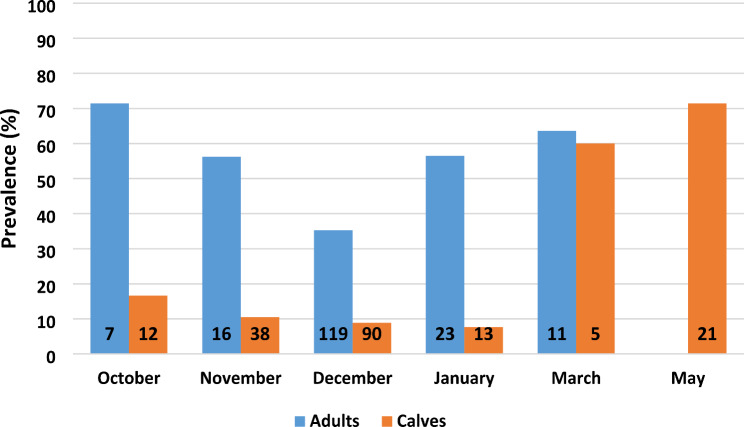 Prevalence and density of Elaphostrongylus rangiferi larvae in faecal samples of semi-domestic reindeer (Rangifer tarandus tarandus) in Norway 2013-16.