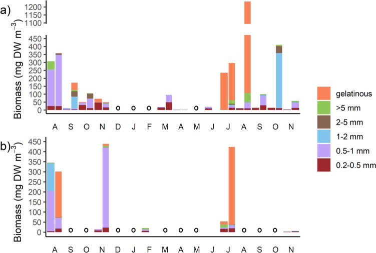The Role of Zooplankton Community Composition in Fecal Pellet Carbon Production in the York River Estuary, Chesapeake Bay.