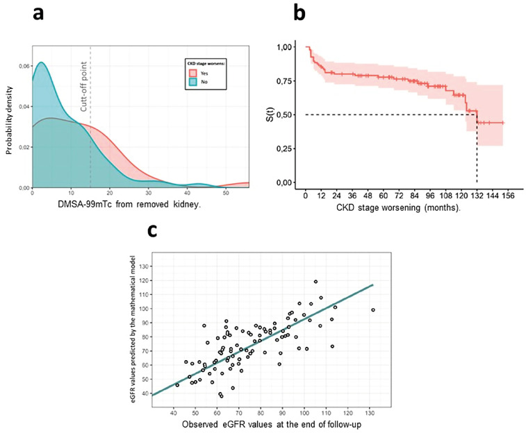 Long-term Follow-up of Patients Undergoing Nephrectomy for Urolithiasis.