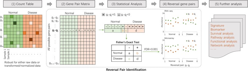Less is more: relative rank is more informative than absolute abundance for compositional NGS data.
