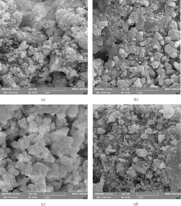 Effect of Manipulation Methods and Storage Environments on the Microstructural, Chemical, and Mechanical Properties of Calcium-Enriched Mixture Cement.