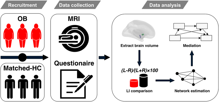 Altered asymmetry of amygdala volume mediates food addiction and weight gain.