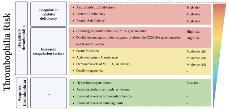 "Unraveling the Clot-Miscarriage Nexus: Mechanisms, Management, and Future Directions in Thrombosis-Related Recurrent Pregnancy Loss".