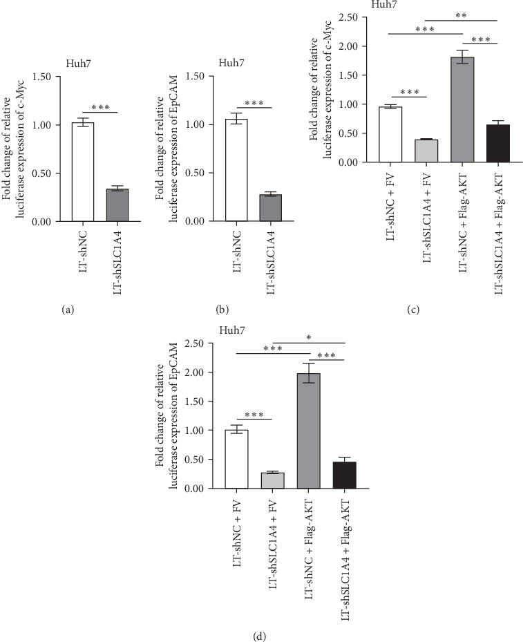 SLC1A4 Promotes Malignant Transformation of Hepatocellular Carcinoma by Activating the AKT Signaling.