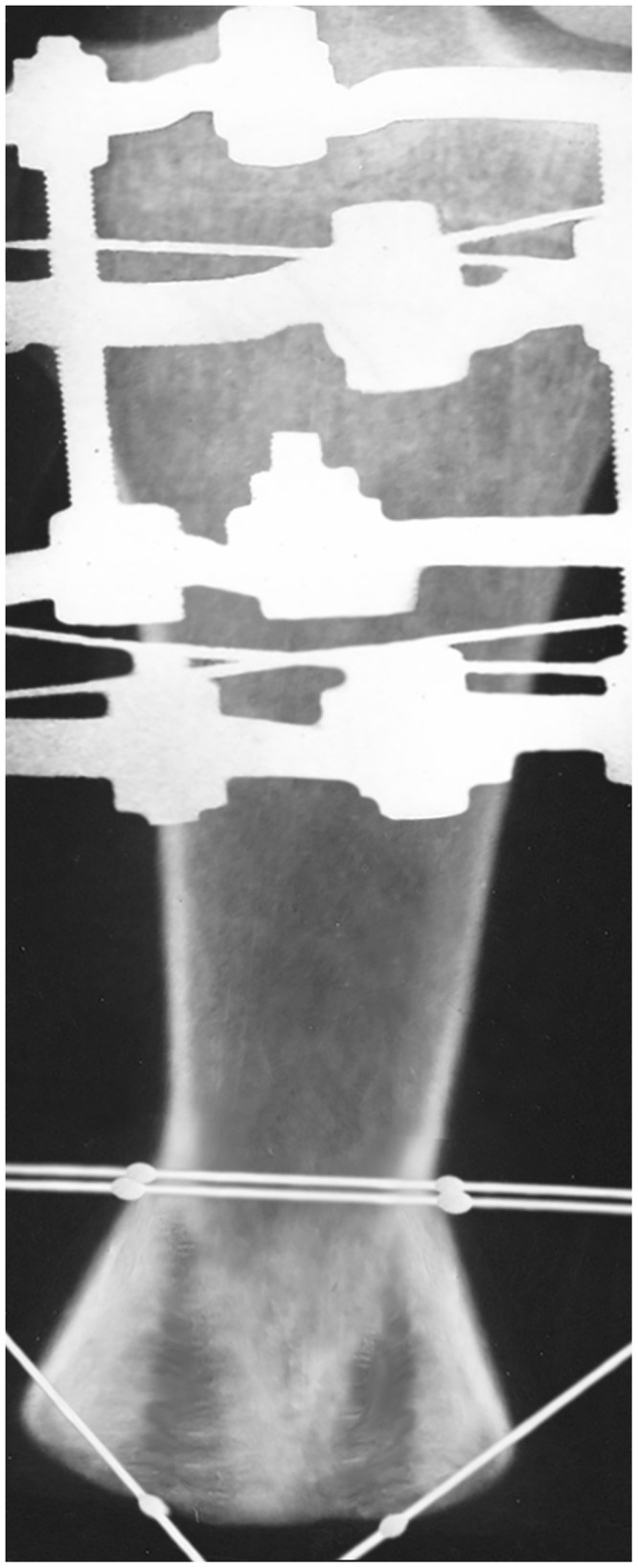 Abstract Image