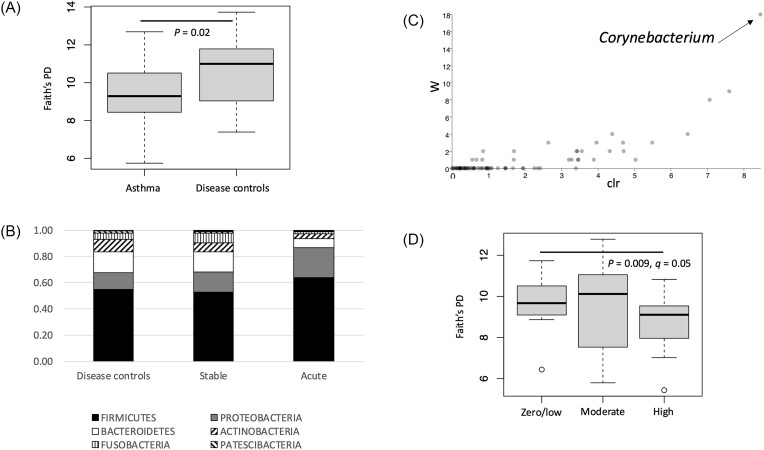 Positive sputum fungal culture, fungal sensitisation, and airway microbial diversity in asthmatic children.