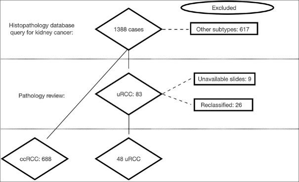 Clinical, pathological, and oncological outcomes in unclassified renal cell carcinoma compared to clear cell renal cell carcinoma.