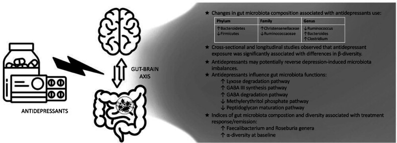 The bidirectional interaction between antidepressants and the gut microbiota: are there implications for treatment response?