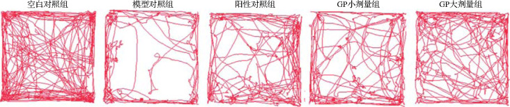 Abstract Image