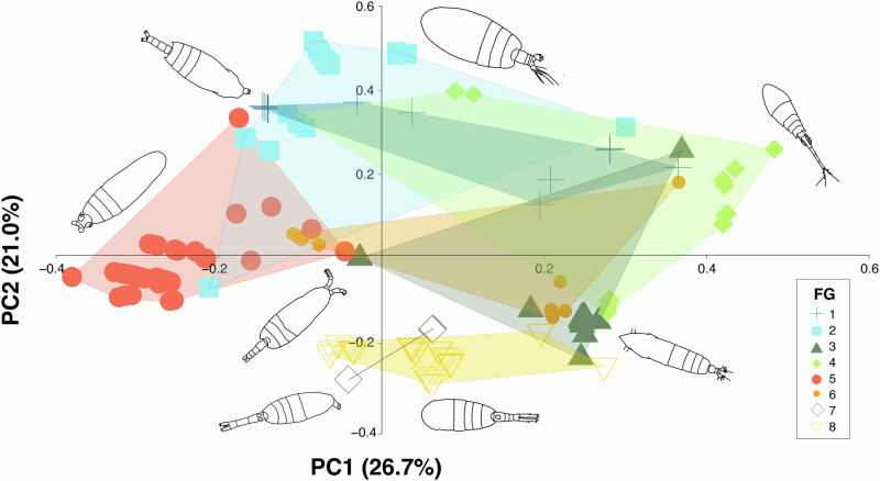 Modelling the alpha and beta diversity of copepods across tropical and subtropical Atlantic ecoregions.