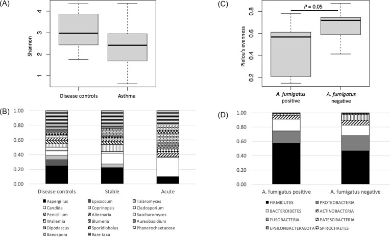 Positive sputum fungal culture, fungal sensitisation, and airway microbial diversity in asthmatic children.