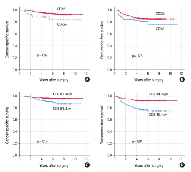 The combination of CDX2 expression status and tumor-infiltrating lymphocyte density as a prognostic factor in adjuvant FOLFOX-treated patients with stage III colorectal cancers.