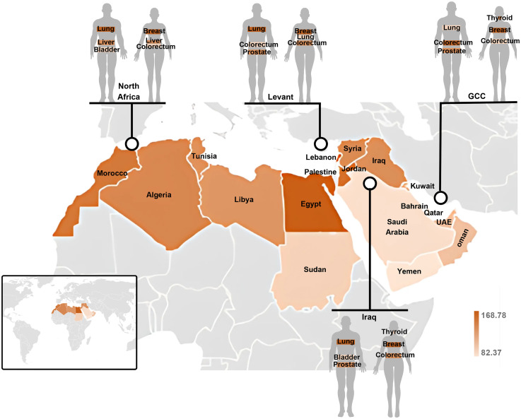 Cancer Genetics in the Arab World.