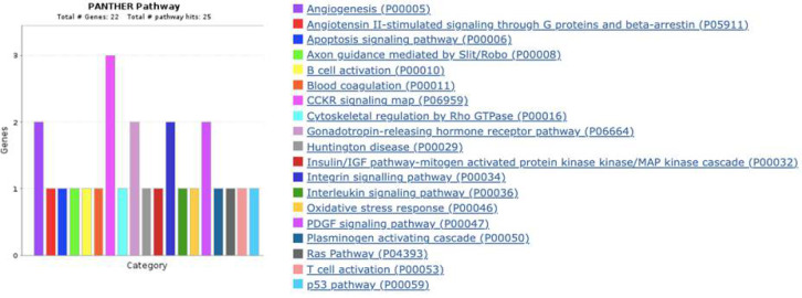 Dysregulated genes in HIGK-treated <i>F. nucleatum </i>and their possible association with HNSCC.