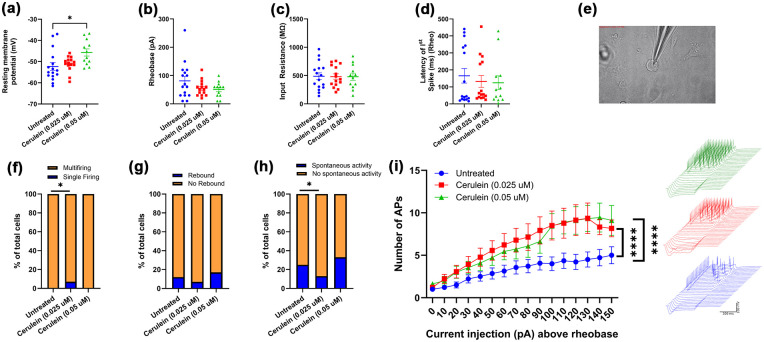 Visceral pain-related acute actions of cerulein on mouse and human sensory neurons.