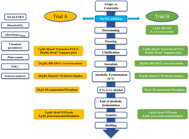The impact of a <i>Saccharomyces cerevisiae</i> bio-protective strain during cold static clarification on Catarratto wine.