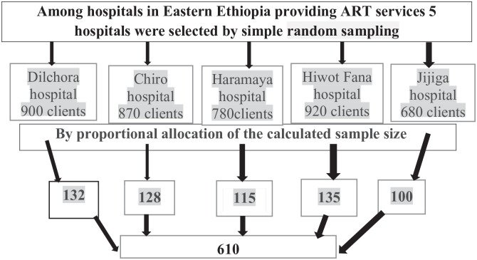 Fertility desire and associated factors among reproductive age women attending antiretroviral therapy at public hospitals in Eastern Ethiopia.