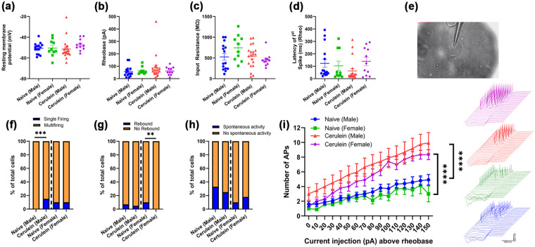 Visceral pain-related acute actions of cerulein on mouse and human sensory neurons.