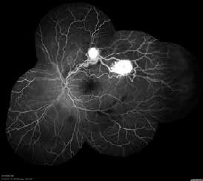 Abstract Image
