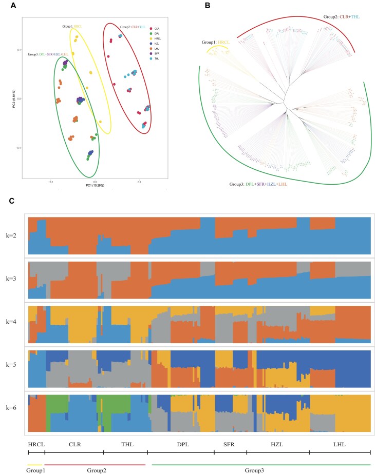Telomere-to-telomere genome and resequencing of 231 individuals reveal evolution, genomic footprints in Asian icefish, Protosalanx chinensis.