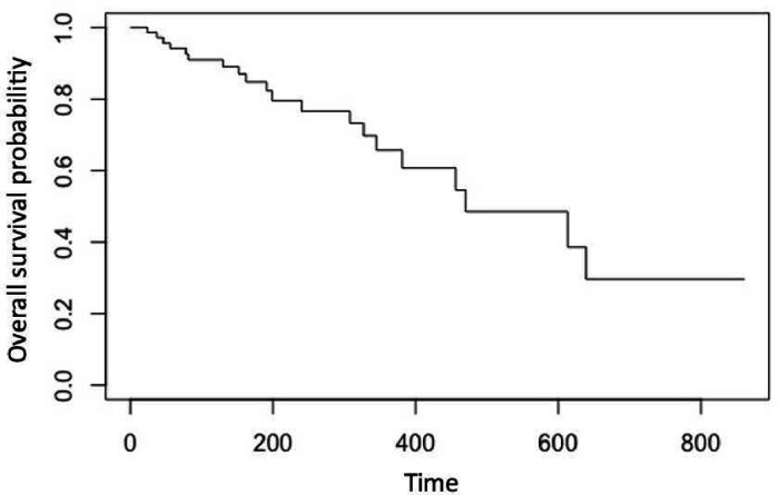 Prognostic factors for transplant-free survival in patients with secondary sclerosing cholangitis associated with critical illness.