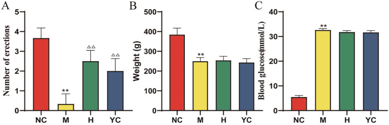 Hirudin-Based Treatment of Diabetes-Induced Erectile Dysfunction Through Inhibition of the HIF-1α to Regulate RhoA/ROCK Signaling Pathway: An In Vivo Animal Experiment.